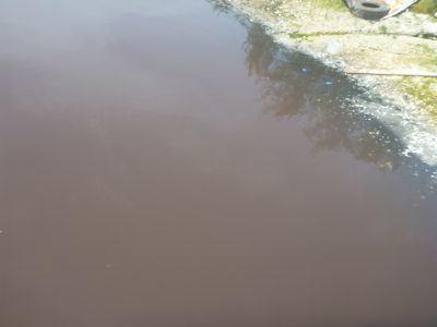 Visting A Pink Lake! : My Trip to Lac Rose in Senegal As pink as it got the day I went