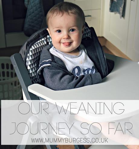 Our weaning journey so far
