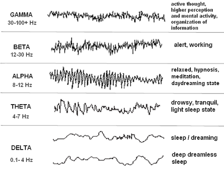 brain waves