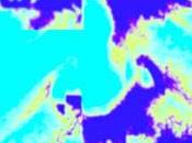 Festival Preview: Importance Having Biennials