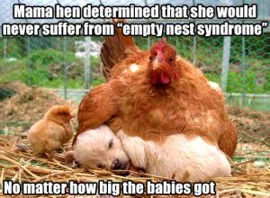 mama hen never empty nest syndrome