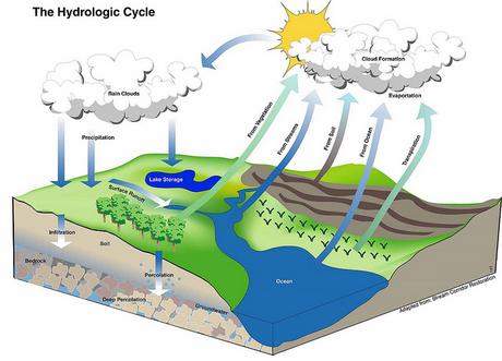 What Is The Hydrologic Cycle And Steps Of The Hydrologic Cycle - Paperblog