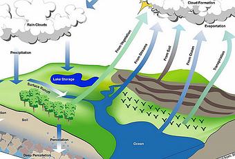 hydrologic cycle essay Read this essay on hydrologic cycle come browse our large digital warehouse of free sample essays get the knowledge you need in order to pass your classes and more. hydrologic cycle essay Read this essay on hydrologic cycle come browse our large digital warehouse of free sample essays get the knowledge you need in order to pass your classes and more.