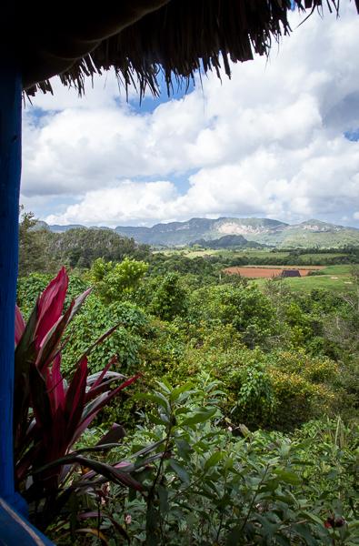 Organic farm in Pinar del Rio, Cuba