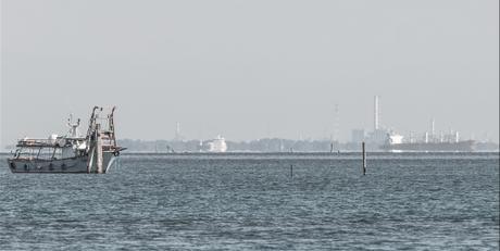 artblagoonvenice_3