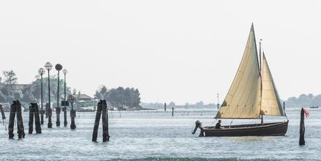 artblagoonvenice_6