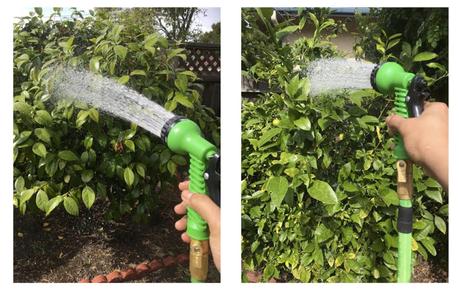 The Hose That Grows