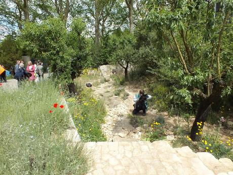 RHS Chelsea Flower Show 2016 - Show Gardens