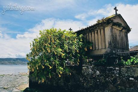 hórreos (granaries) in Combarro, Galicia, Spain