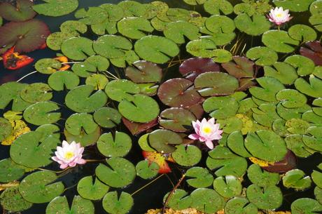 Beauty in Castelfranco Emilia’s Villa Sorra