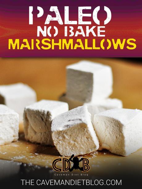 paleo dessert recipes marshmallow main image