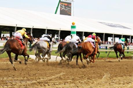 Black Eyed Susan Day | Preakness Stakes