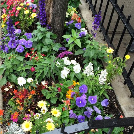 Urban Gardening