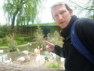 Backpacking in Austria: Taking Full Advantage of the Salzburg Card #visitsalzburg With the flamingoes