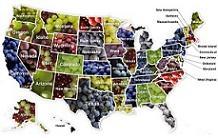 The United Grapes of America