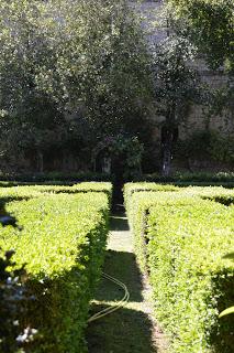 Hortus Romam 4 - Villa Farnese