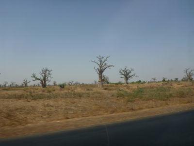 World Borders: My Crazy Adventure from Dakar in Senegal to Serrekunda, The Gambia Waiting at the sept-place section in Dakar