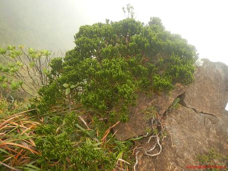 Mt. Guiting-Guiting Part 2