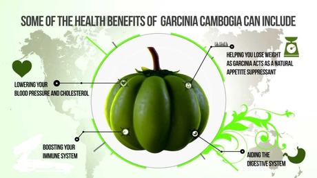 7 Merits and Demerits of Garcinia Cambogia fruit
