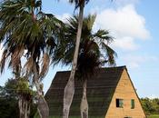 Agriculture Cuba #SaturdaySnapshot #WeekendCooking