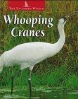 Image: Whooping Cranes (Untamed World), by Karen Dudley. Publisher: Raintree (March 1, 1997)