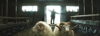 193. Icelandic director Grímur Hákonarson’s film “Hrútar” (Rams) (2015), based on his own original screenplay:  Unusual tale of sibling hatred and bonding