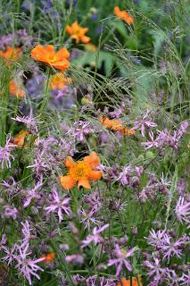 RHS Chelsea Flower Show 2016 Part 1 - the cold one