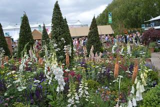 RHS Chelsea Flower Show 2016 Part 1 - the cold one