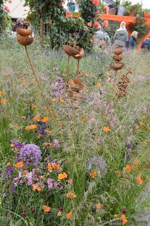 RHS Chelsea Flower Show 2016 Part 1 - the cold one