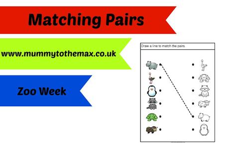 Zoo Matching Pairs & Free Download