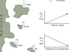 Species-area Species-accumulation Curves Same