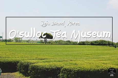 O'sulloc Tea Museum - Jeju Island, Korea