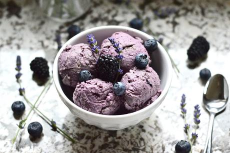 Paleo Double Berry Coconut Ice Cream (Dairy Free, AIP, SCD, GAPS, Whole 30, No Added Sweetener)