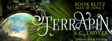 TERRAPIN: A New Young Adult Fantasy