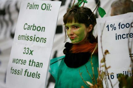 Forest-destroying palm oil powers cars in EU. Surprised?