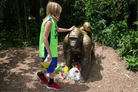 cincinnati zoo harambre memorial