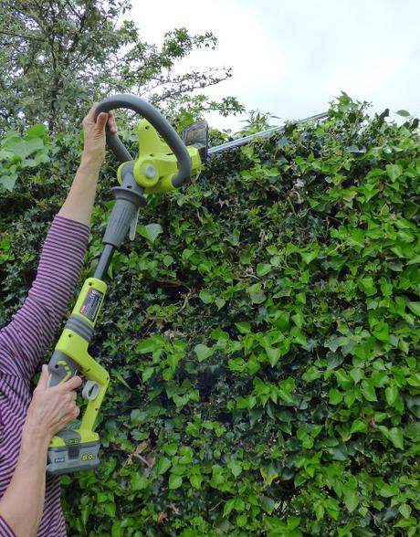 Garden Maintence with Ryobi One+ Cordless Extended Reach Hedge Trimmer