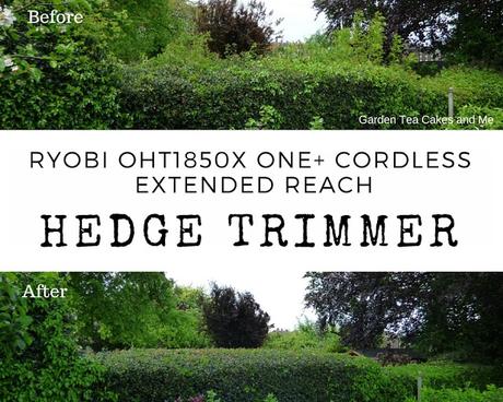 Garden Maintence with Ryobi One+ Cordless Extended Reach Hedge Trimmer