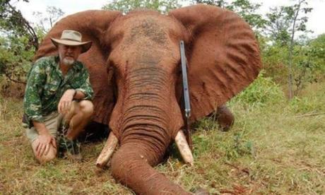 Australian state MP admits eating elephant he shot in Zimbabwe | Australia news | The Guardian