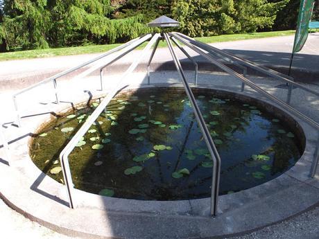 Tropical Treat Tropical Treat