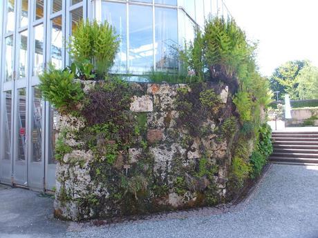 Tropical Treat Tropical Treat