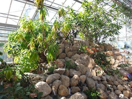 Tropical Treat Tropical Treat