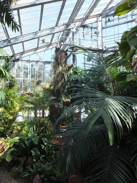 Tropical Treat Tropical Treat