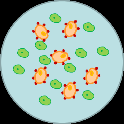 Cell sorting