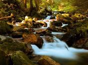 Warming Climates Mountain Stream Watersheds