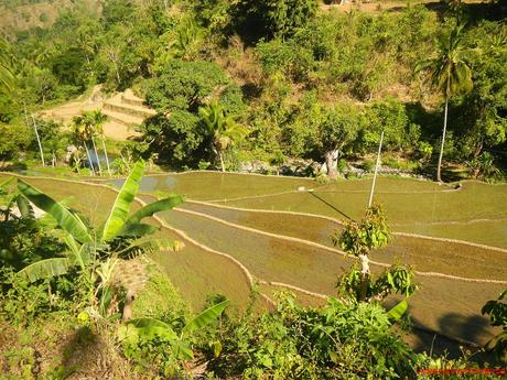 Bugtong Bato Falls