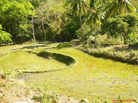 Bugtong Bato Falls