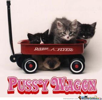 What is 2001 Maniacs Really About? pussy wagon