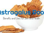 Astragalus Root Benefits Uses Skin Health