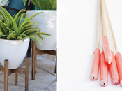 Killer Backyard Projects Summer